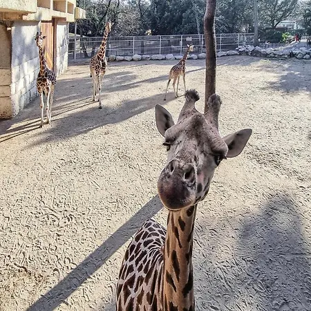 Prázdninový dům Lovely In Meschers-sur-Gironde