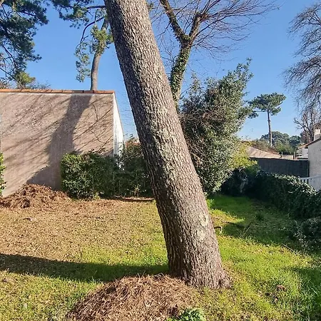 2 Bedroom Lovely In *