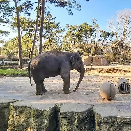 Сasa de vacaciones Lovely In