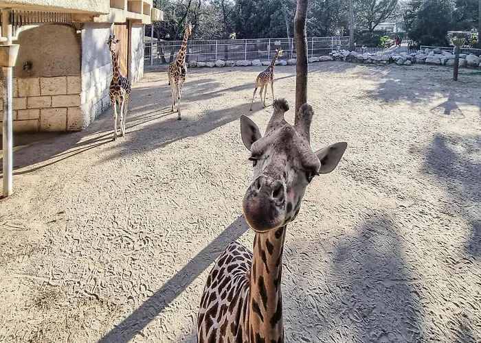 Casa de Férias Lovely In Meschers-sur-Gironde