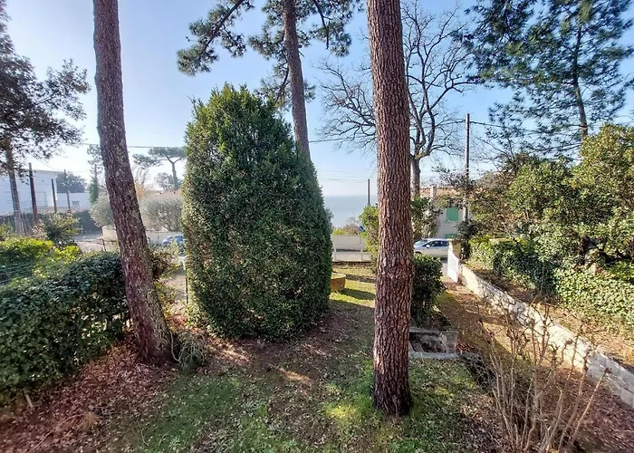 Lovely In * Meschers-sur-Gironde