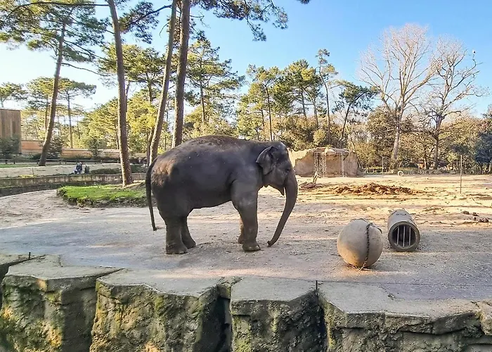 Casa de Férias Lovely In