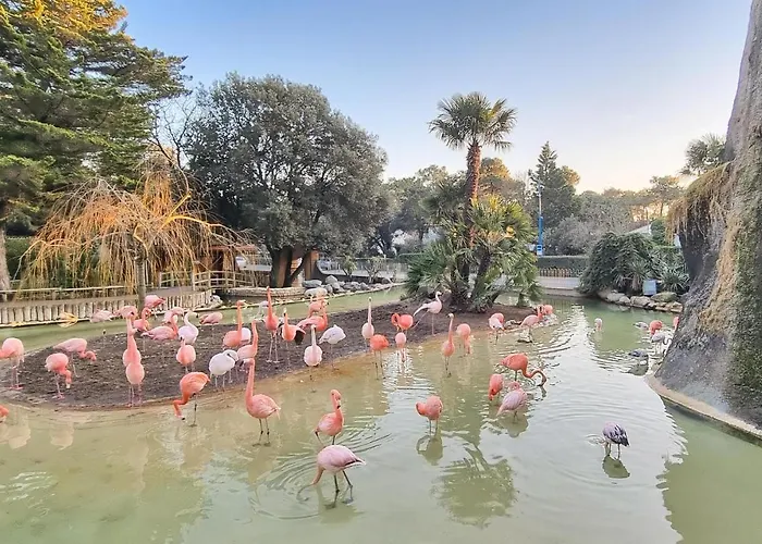 Lovely In Casa de Férias *